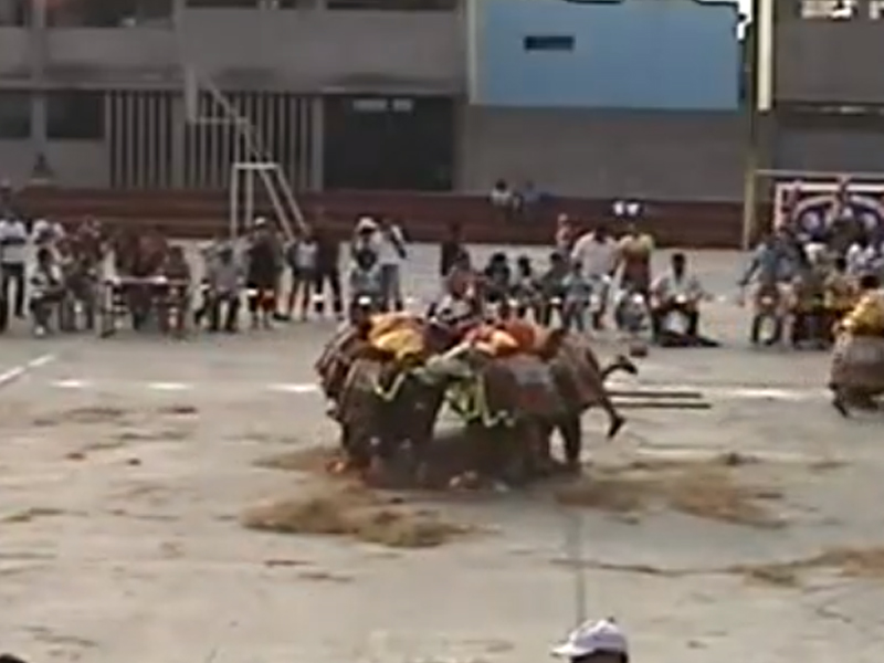 Ver video