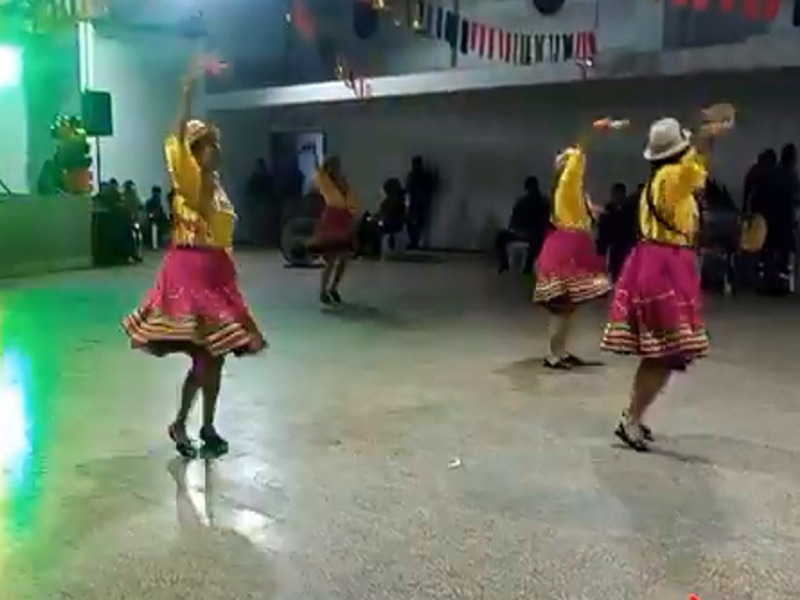 Ver video
